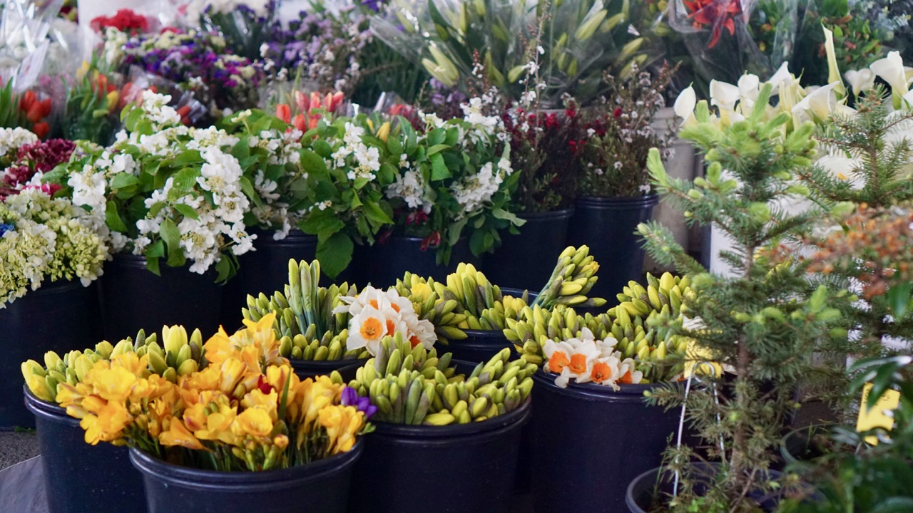 Sunday Farmers Market Flowers