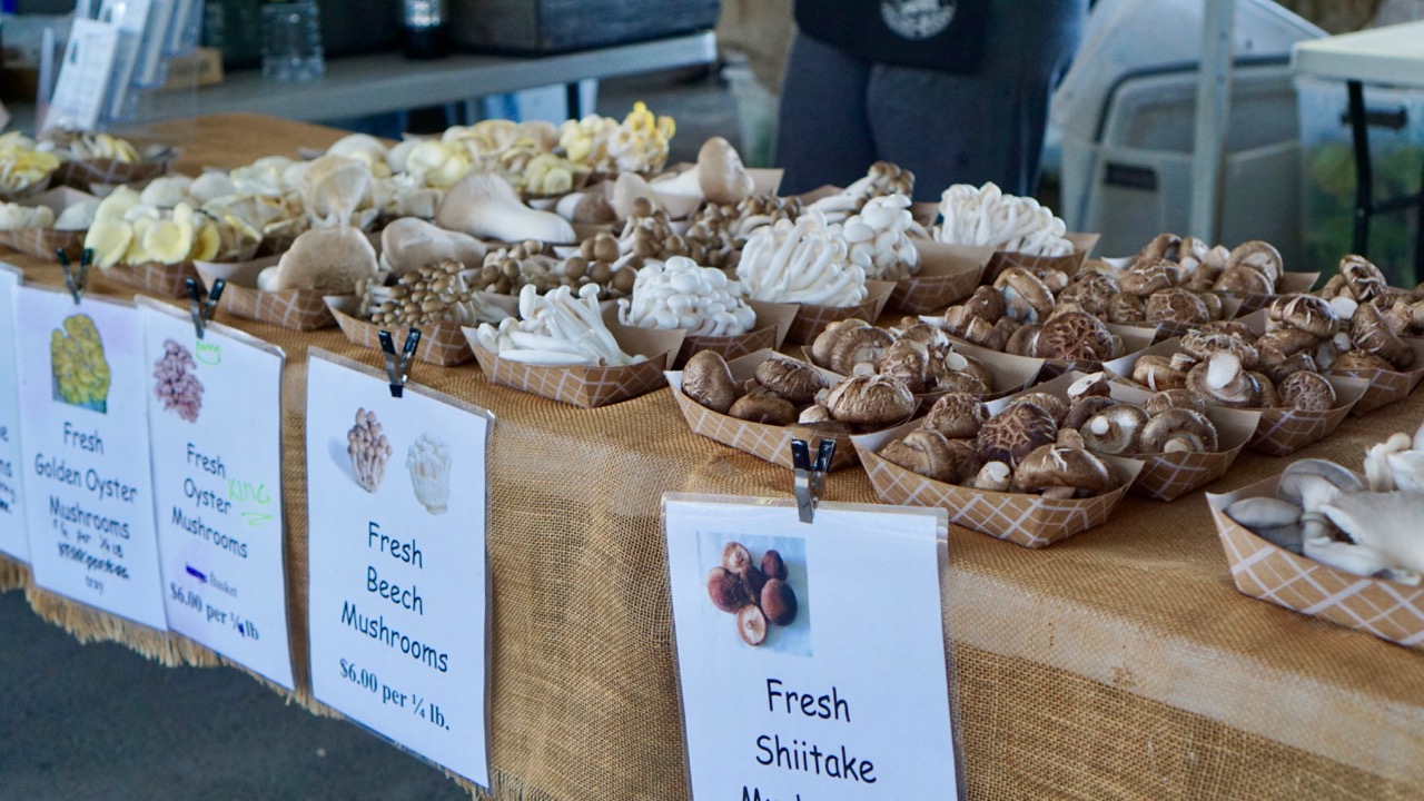 Sunday Farmers Market Mushrooms