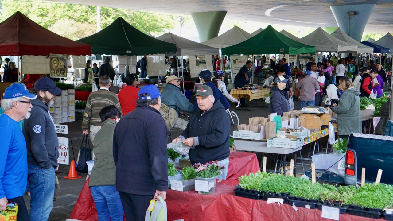 Sunday Farmers Market Overview