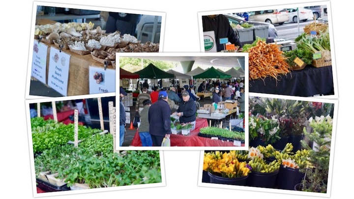 farmers-market-collage